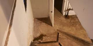 3102 Bergman St Gallery 4