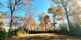 2 VIRGINIA Road Gallery 17