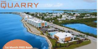 The Quarry Gallery 1