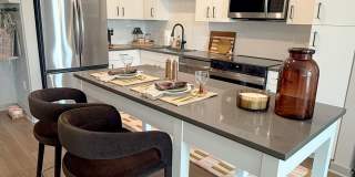 Ellison Museum District Gallery 2