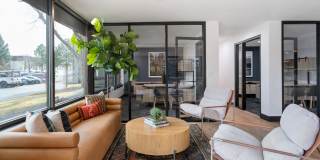 Elm at Panorama Gallery 32