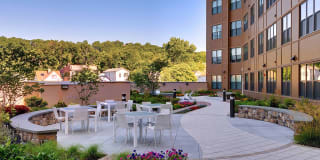 Valley and Bloom Gallery 1