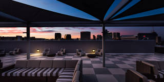Linear Gallery 8