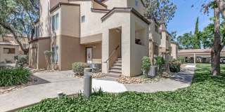 Avery at TownCentre Gallery 1