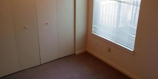 (560) 21st Street Duplex - 2 Bedroom / 2 Bathroom Gallery 14