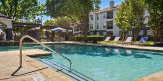 Oak Forest Gallery 1