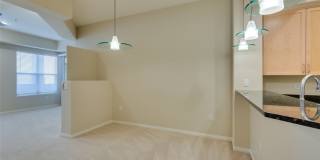 50 SERENE Avenue Gallery 8