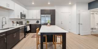 Vine at Panorama Gallery 4