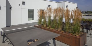 Northpointe Gallery 15
