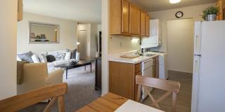 The Dorchester Gallery 8