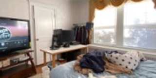 Boston College 2026!!!  Renovated 5 Bed/2.5 Bath on Comm Ave Less than 1 block to Campus.  NO FEE!!! Gallery 8