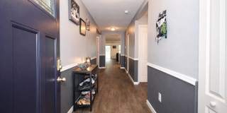 3554 SHINER Drive Gallery 3