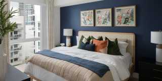 Tortoise One Gallery 12