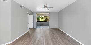 Reflections at Gila Springs Gallery 22