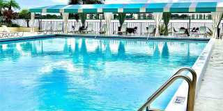 109 Lake Emerald Dr Gallery 21