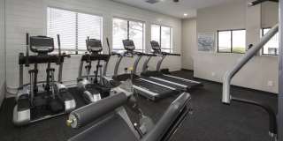 Cottonwood Terrace Gallery 14