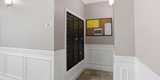 24636 WOOLLY MAMMOTH Terrace Gallery 38