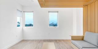 The Rinrose Gallery 44