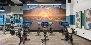 Century Tower Gallery 19