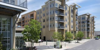 Currents on the Charles Gallery 34