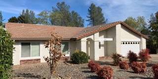 Mature dog considered. Nice home, convenient location off Placer & Wisconsin, Rdg. Gallery 5