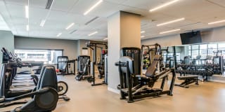 The Chestnut Gallery 17