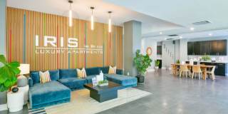Iris Gallery 27