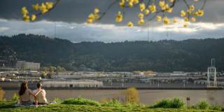Northpointe Gallery 29