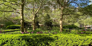 300 East 33rd Street Gallery 12