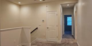 3216 PAINTED BLOSSOM Court Gallery 7