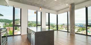 The Rodney Gallery 28