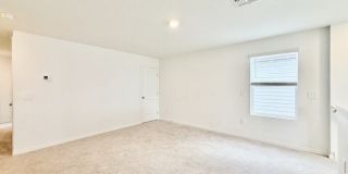 641 Bald Cypress Drive Gallery 32