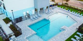 Mosaic at Lake Toho Gallery 19