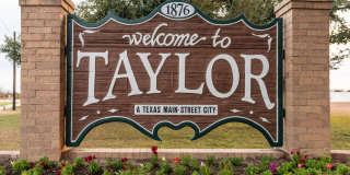 Mihir Taylor Gallery 75