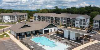 Waterleaf at Cold Springs Gallery 1