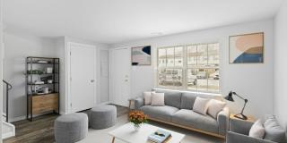 Village of Carrollwood Village of Carrollwood Gallery 13