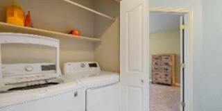 1009 Andrews Peak Dr Gallery 7