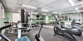 Wilkeswood Gallery 9