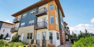 Alas Over Lowry Gallery 37