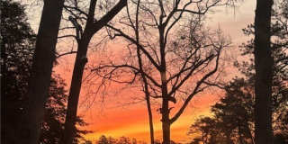 87 Otter Cove Gallery 1