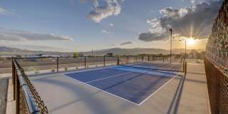 Terra Vista Gallery 33