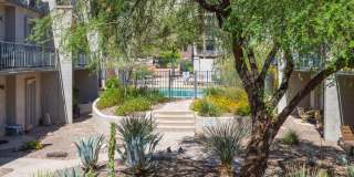 1010 E OSBORN Road Gallery 28