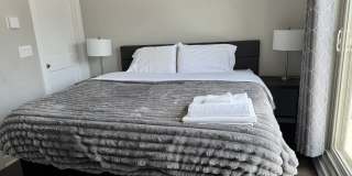 1514 South Bouvier Street Gallery 8