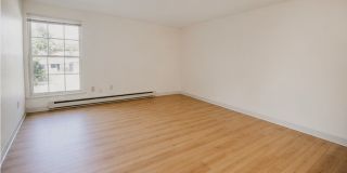 University Park Gallery 271