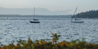 Bella Vista Gallery 49