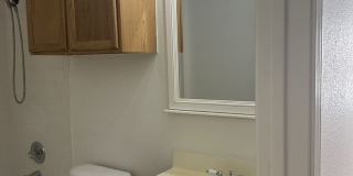 5601 Timber Star Gallery 11