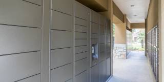 Avenues at Tuscan Lakes Gallery 7