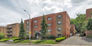 Treehaven Apartments Gallery 55