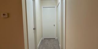 Northgate Gallery 294
