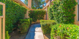 67579 S Laguna Drive Gallery 32